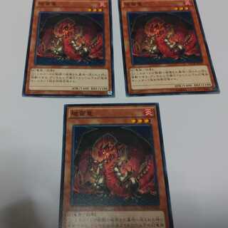 破面竜　3枚　ノーマル