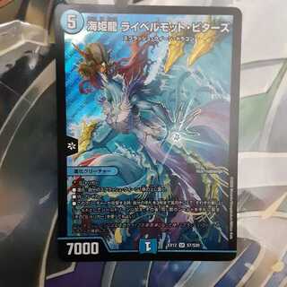 海姫龍 ライベルモット・ビターズ SR