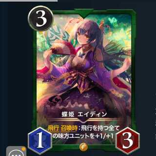 ２枚セット 蝶姫 エイディン