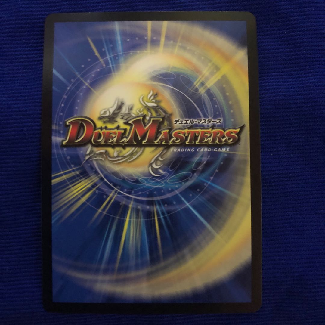 アクシー様専用