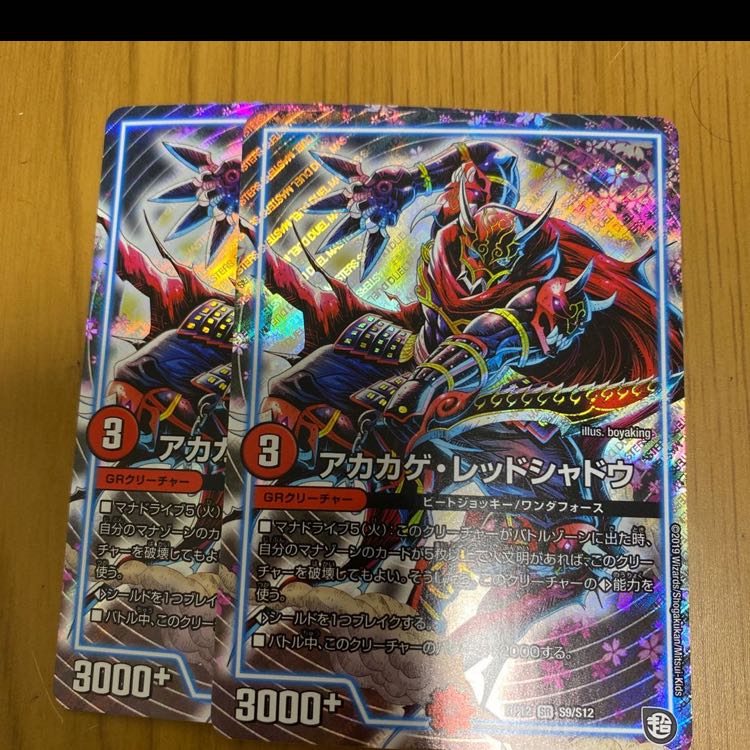 アカカゲ・レッドシャドウ