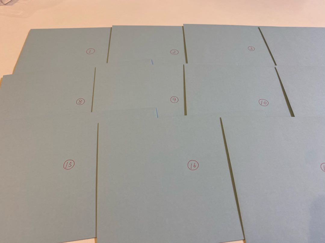 ロイ様専用 5口 注文用20分の1リーリエSR