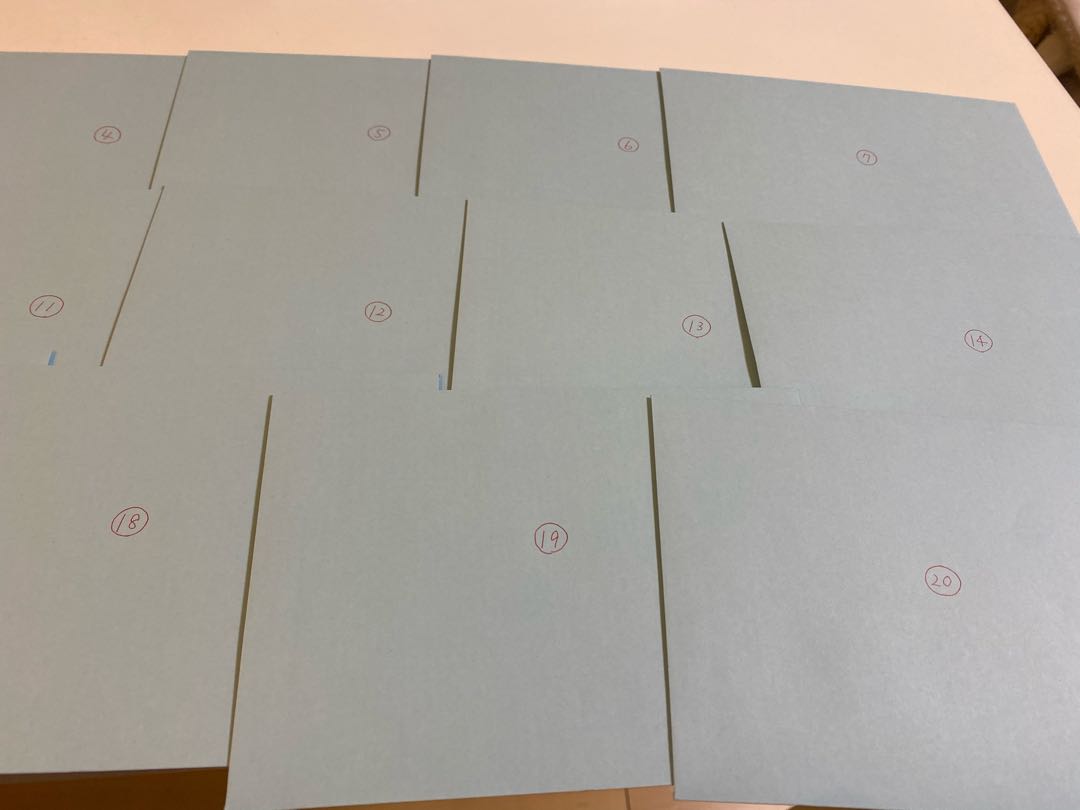 ロイ様専用 5口 注文用20分の1リーリエSR