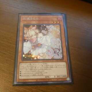 灰流うらら シークレットレア