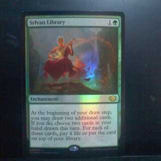 MTG【Foil】《森の知恵/Sylvan Library》