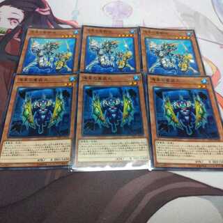 海皇の竜騎隊セット　ノーマル