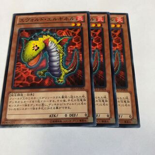 エヴォルド・エルギネル ノーマル