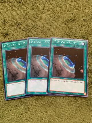 テラ・フォーミング ノーマル3枚