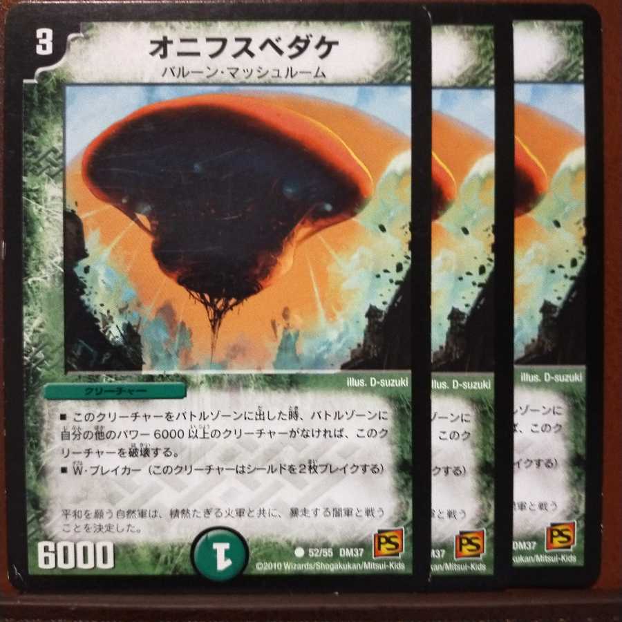 mri1185セット割引 オニフスベダケ