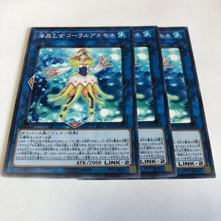 海晶乙女コーラルアネモネ ノーマル