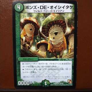 mri1195 set discount pons de oyster mushroom