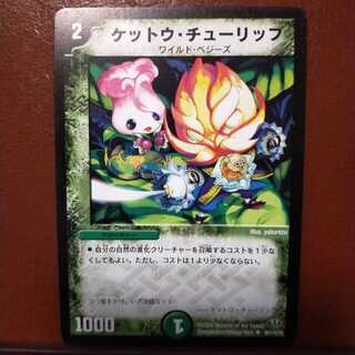 mri1196 set discount Ketto Tulip