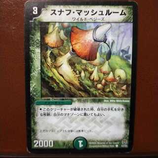 mri1199 set discount snuff mushrooms