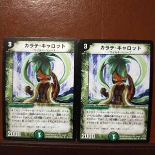 mri1205 set discount karate carrot