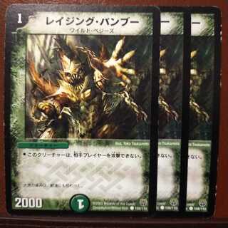 mri1213セット割引　レイジング・バンブー