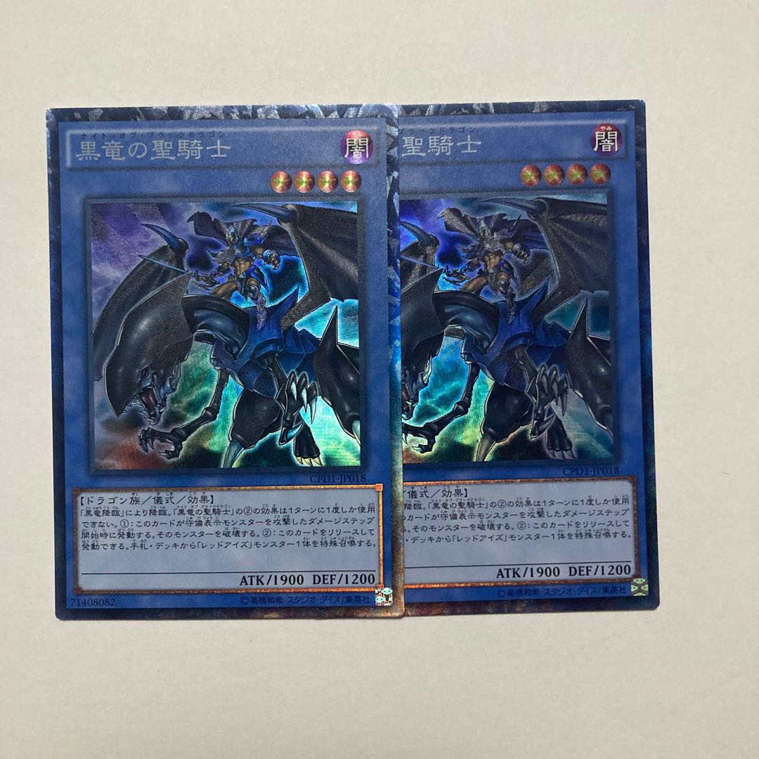 Paladin of Dark Dragon Collector's Rare JP018