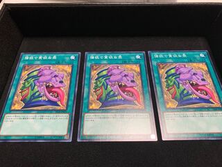 強欲で貪欲な壺 ノーマル 3枚セット