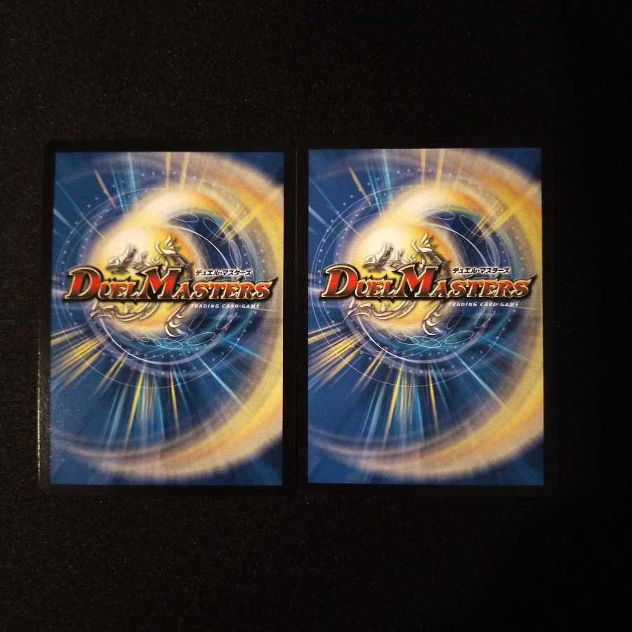 雷龍 ヴァリヴァリウス