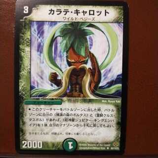 mri1226 set discount karate carrot