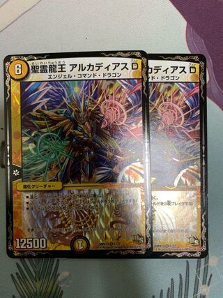 最終値下げ 聖霊龍王 アルカディアスD