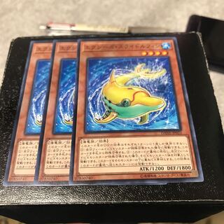 エクシーズ・スライドルフィン ノーマル3枚