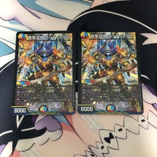 龍風混成 ザーディクリカ 2枚セット