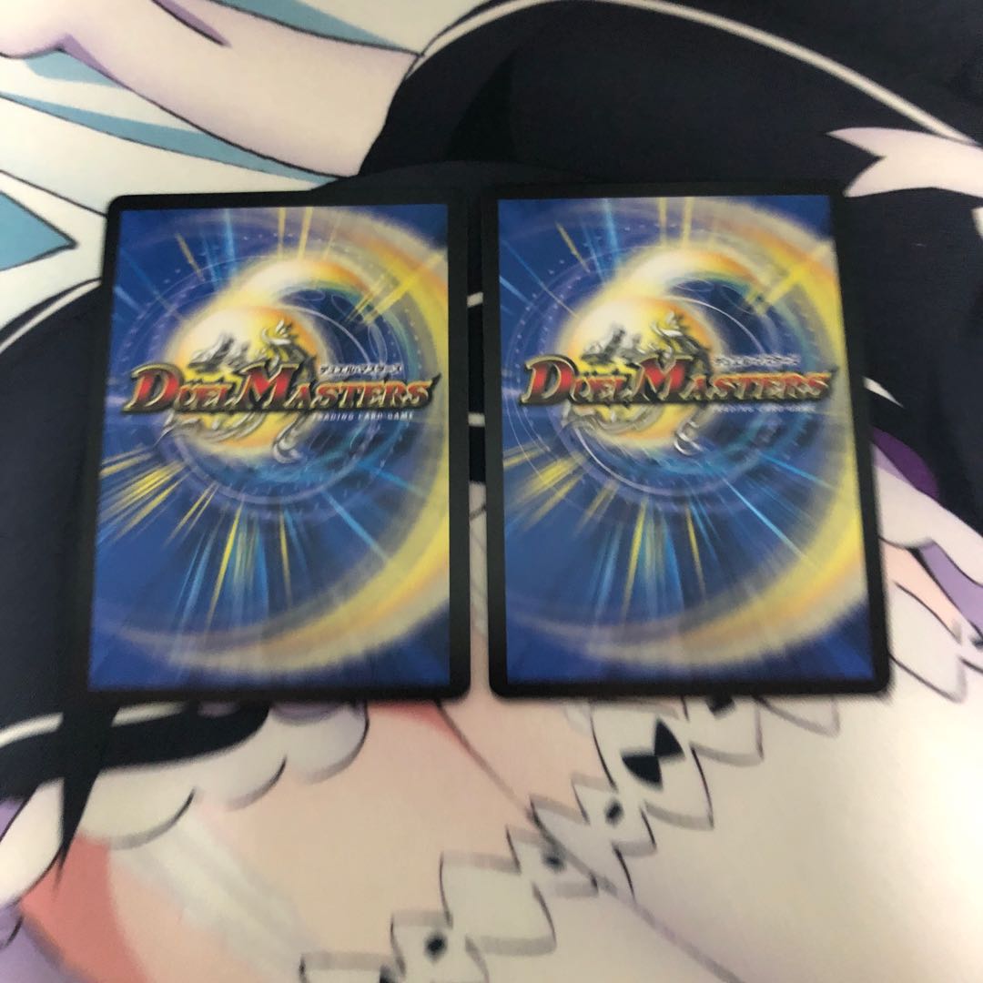 龍風混成 ザーディクリカ 2枚セット