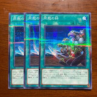 3枚セット　同胞の絆　ノーマルパラレル