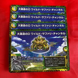 大革命のD ワイルド・サファリ・チャンネル