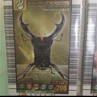 Stag Beetle Insect King