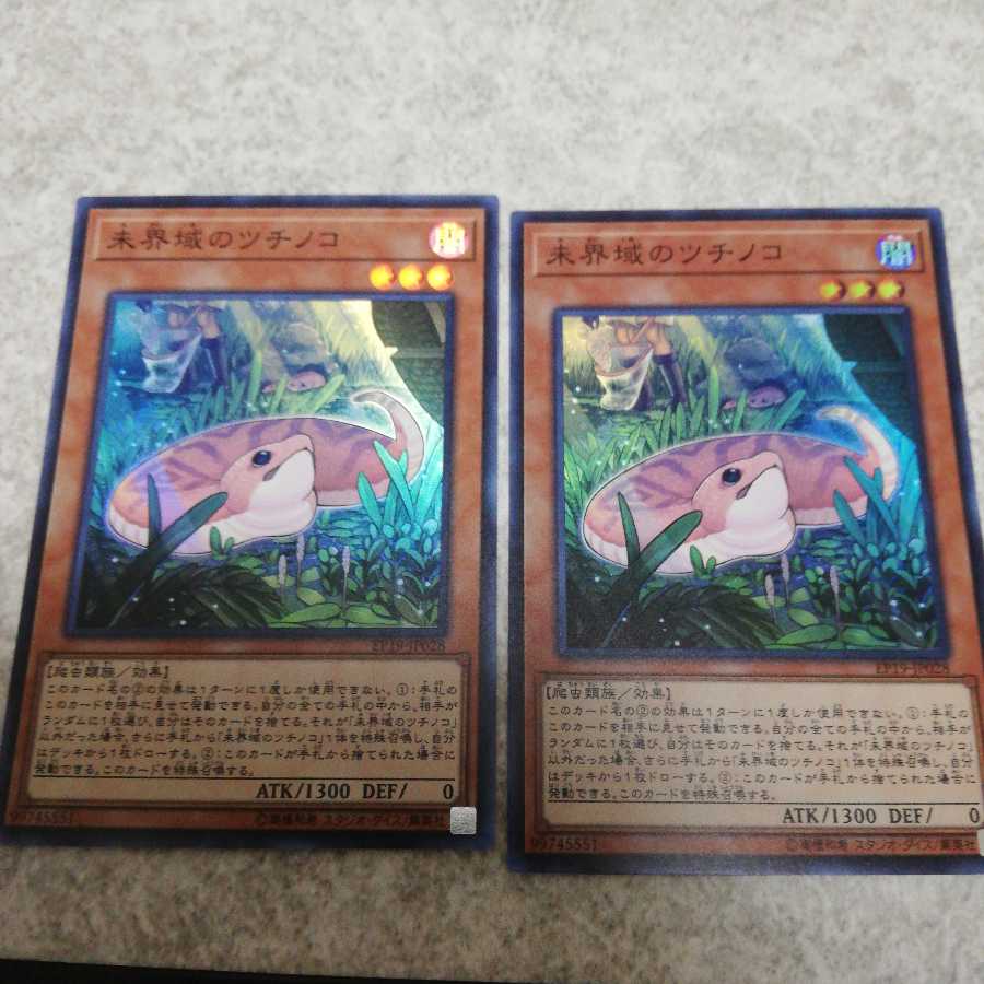 未界域のツチノコ