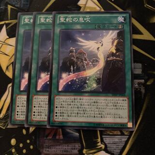 マドレース☆3577聖蛇の息吹 ノーマル