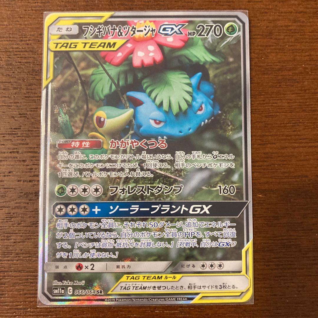 Venusaur & SnivyGX SR