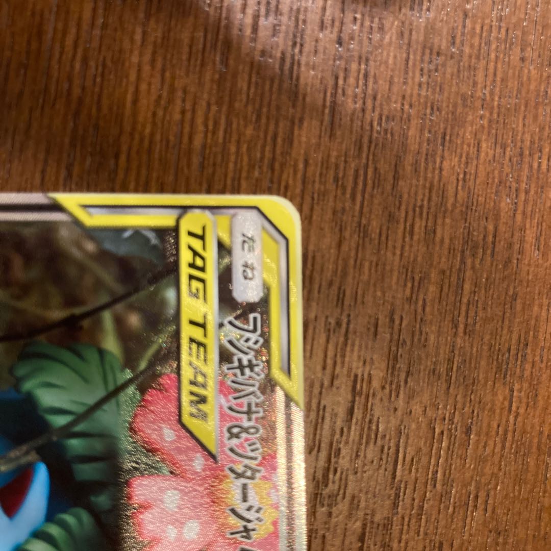 Venusaur & SnivyGX SR