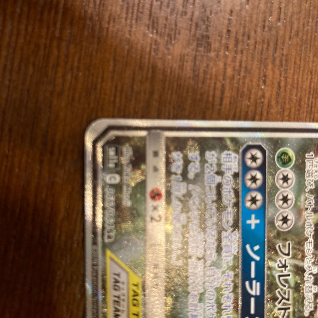 Venusaur & SnivyGX SR