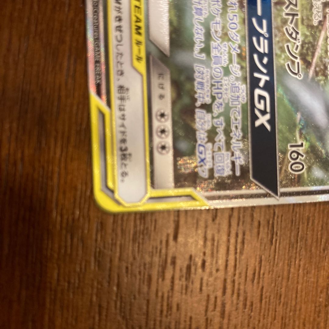 Venusaur & SnivyGX SR