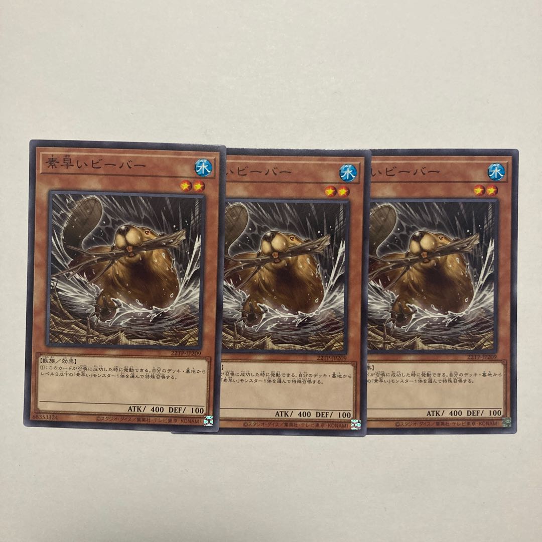 Nimble Beaver Normal