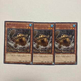 素早いビーバー ノーマル