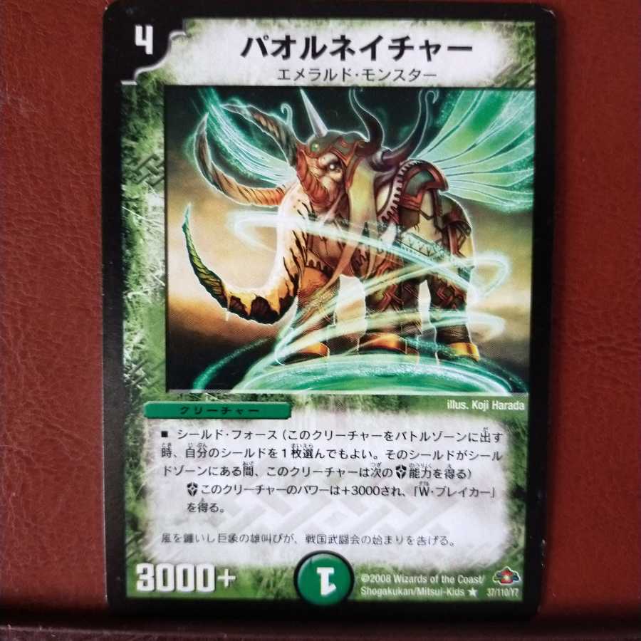 mri1244セット割引　パオルネイチャー