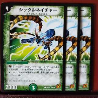 mri1246セット割引　シックルネイチャー