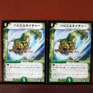 mri1247セット割引　ハビエルネイチャー