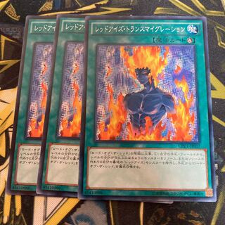 マドレース3951レッドアイズ・トランスマイグレーション ノーマル