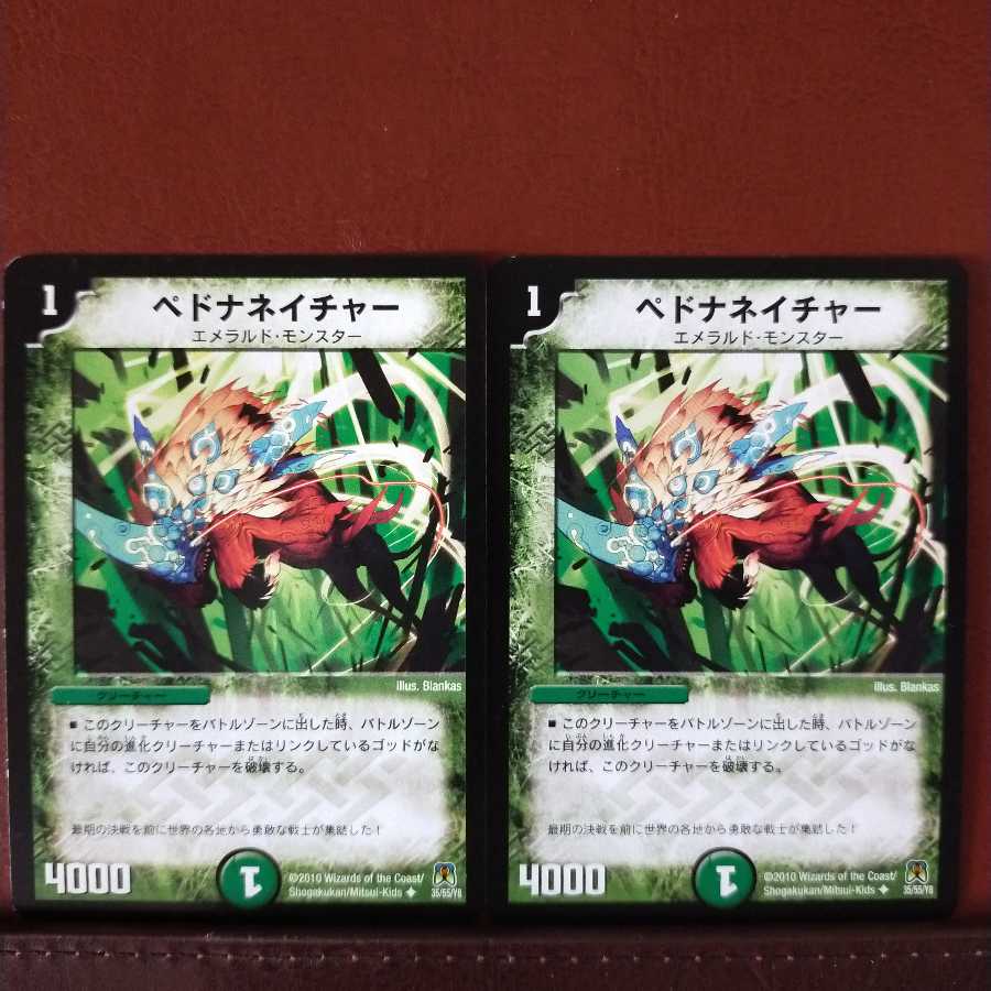 mri1250 set discount pedna nature