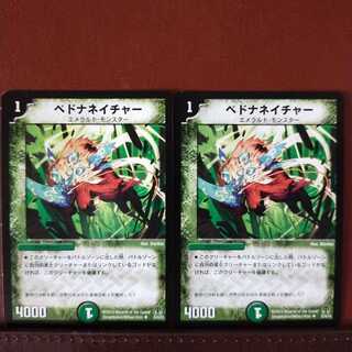 mri1250 set discount pedna nature