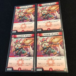 ハエタタ・チュリス