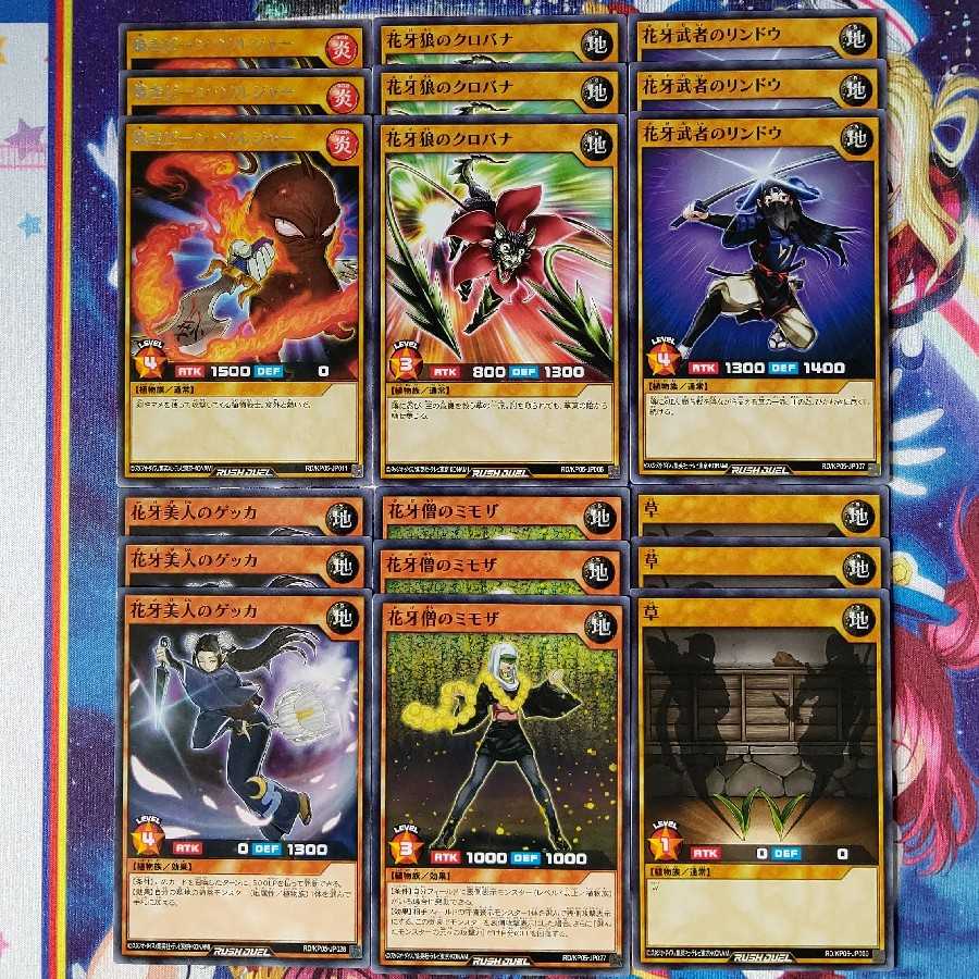 Flower Fang Plant Set L (35 pieces)