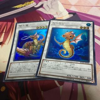 瑚之龍 たつのこ