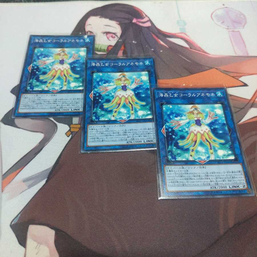 海晶乙女コーラルアネモネ ノーマル