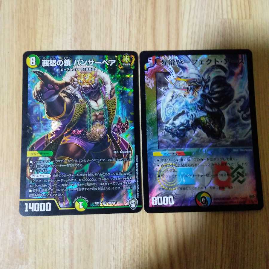 我怒の鎖 パンサーベア SR