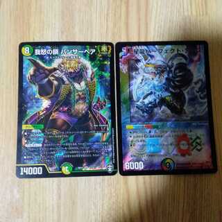 我怒の鎖 パンサーベア SR